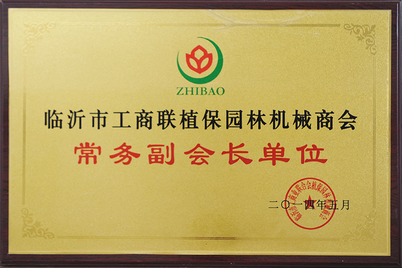 Executive Vice President unit